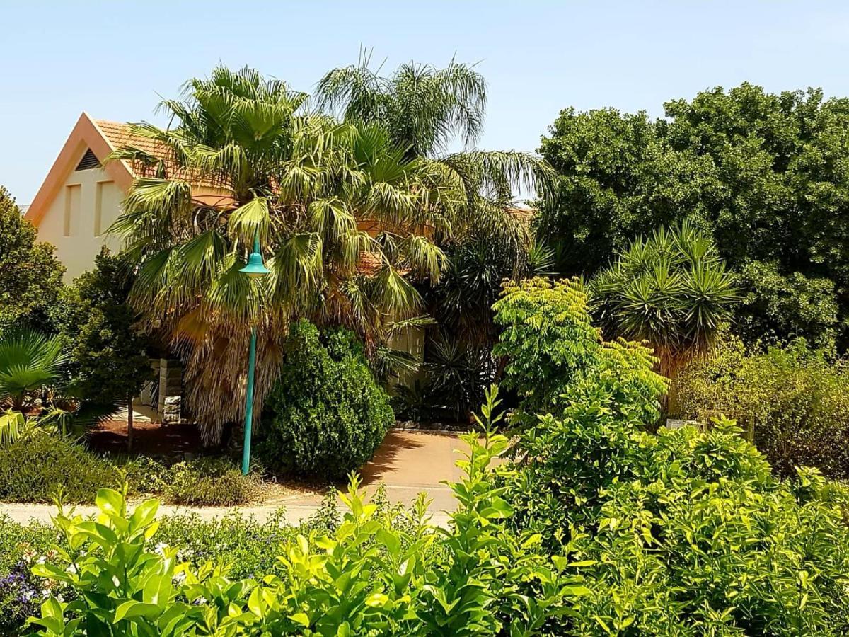Huge & Private Villa In Kibbutz Dafna Eksteriør billede